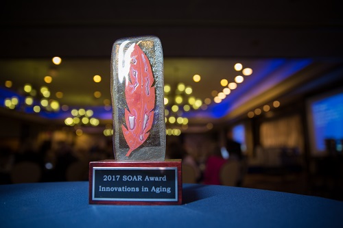 2017 SOAR Award Trophy