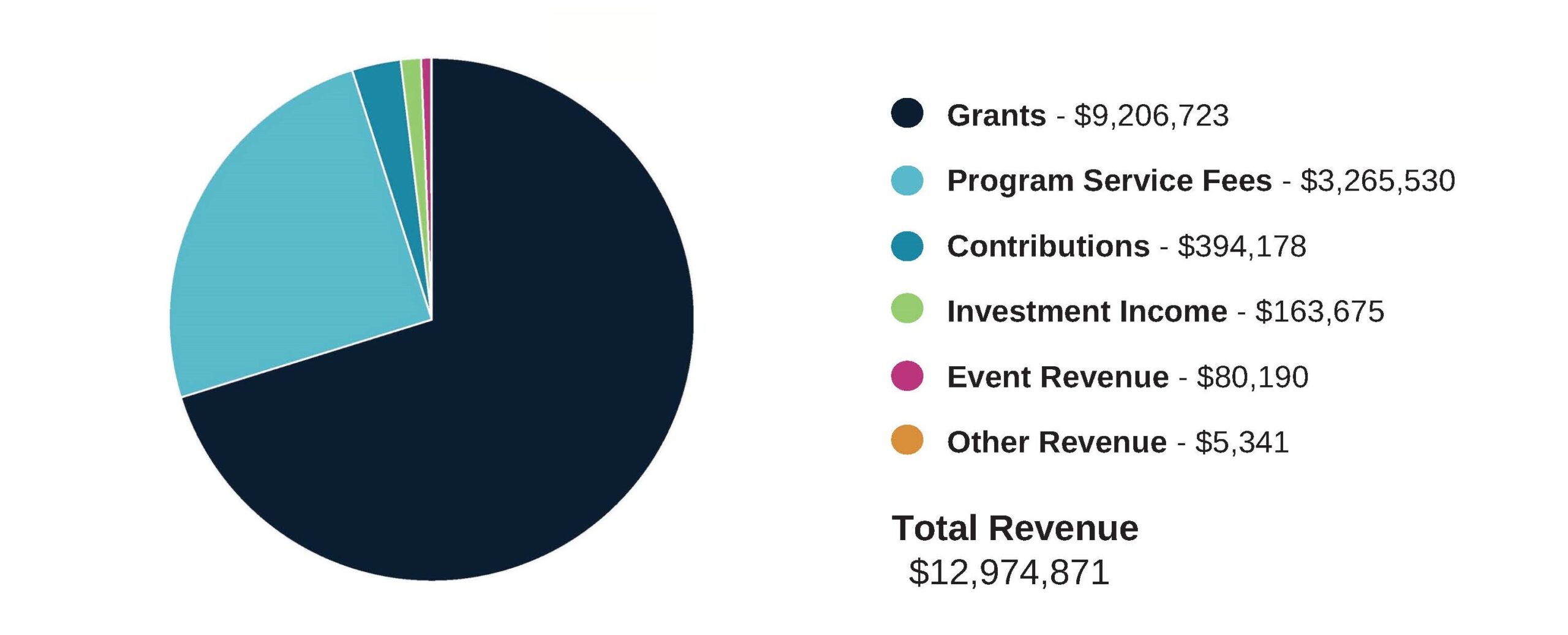 19 revenue | VANTAGE Aging